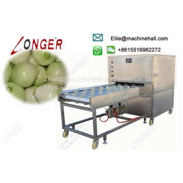 Commercial Stainless Steel Onion Root Cutting Machine Manufacturer