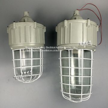 Integrated explosion-proof lamp explosion-proof bend lamp 175W explosion-proof metal halide lamp ccd92-l175b1z