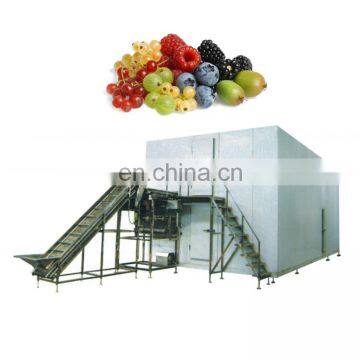 IQF Machine Fruit Quick Freezing Equipment Freezer Prices