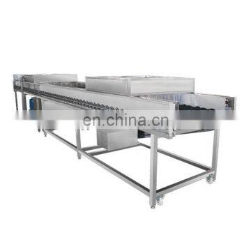 Industrial Apple Lemon Orange Potato Tomato Vegetable Fruit Washing Drying Waxing Grading Processing Line
