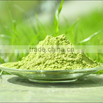 Matcha Green Tea Powder Pure Tea