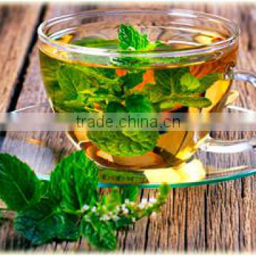 Premium Healthy Green Tea Suppliers