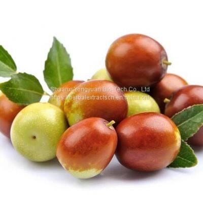 Red Jujube Powder, Jujube concentrated powder, Ziziphus Jujuba Fruit Extract, CAS No.: 60-92-4