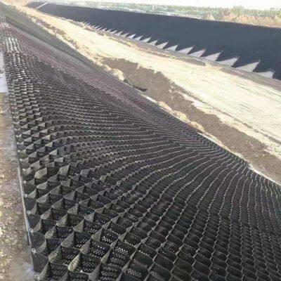 Government large-scale reservoir flood control reinforcement honeycomb geogrid chamber