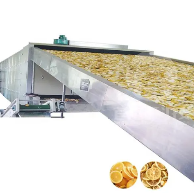 Genyond Machine Dried Lemon Mango Orange Continuous Belt Conveyor Tunnel Drying Machine on Sale