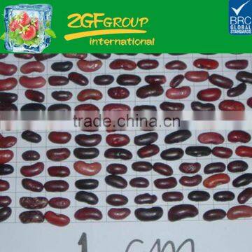 2016 New High Quality crop light speckled kidneybeans