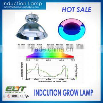 Magnetic bi-spectrum induction lamp 400w induction light grow