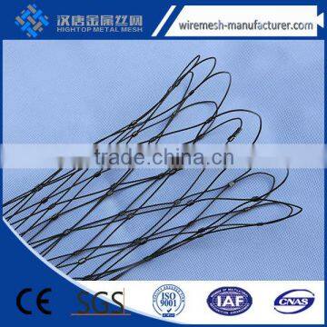 Hebei Factory New Style Hand-woven Stainless Steel Bird Cage Wire Mesh photo-6