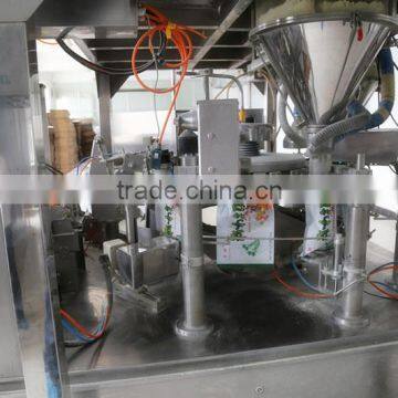 Ginger Powder Premium Factory Price photo-3