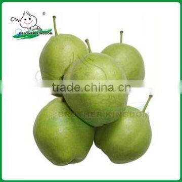 new crop su pear/pear/fresh early-mature su pear