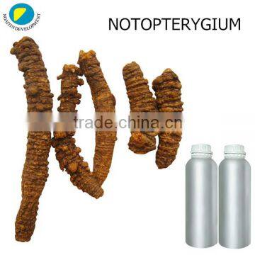 100%Pure and Natural NOTOPTERYGIUM Oil