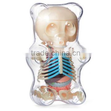 Gummi Bear Anatomy Clear action figure/customized Animal Anatomy Clear model action figure/Make design action Figure China Maker