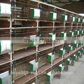 oriental rabbit cages with rabbit feeders in kenya farm                        
                                                Quality Choice