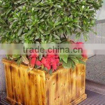 wooden planter