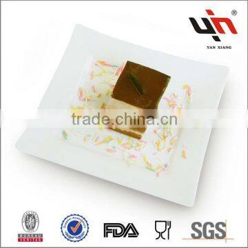 Hot Sale Porcelain Plate