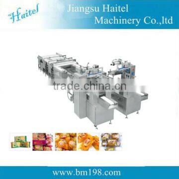 HTL-1000-2 automatic food feeding packaging machine