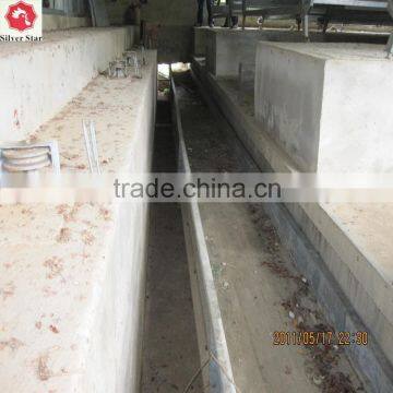 3 Tier Design A Type Ladder Layer Cages for Chickens With Scarpper Manure Removal System photo-4