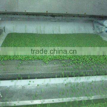 BRC,OU KOSHER ,HALAL Certificates IQF Green Peas photo-2