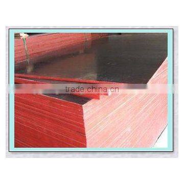 Black /Brown Film Faced Plywood photo-5