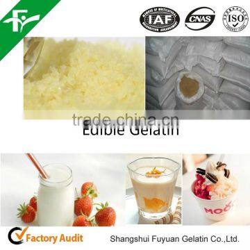 CAS#9000-70-8 Gelatin Manufacturer photo-2