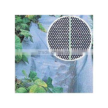 Gardening Anti-Grass Cloth