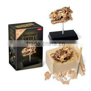 Mid Dinosaur Skull Dig Kit with stand, 6 assorted, 24pcs per display.