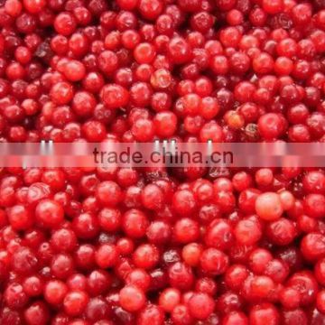 New Crop Frozen Lingonberry