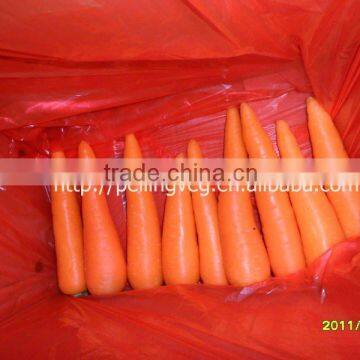 0.12kg fresh red carrot(new )