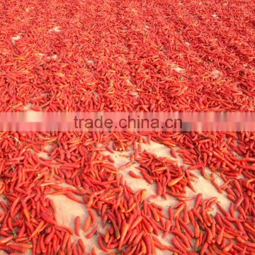 Vietnam Dried Red hot Chilli