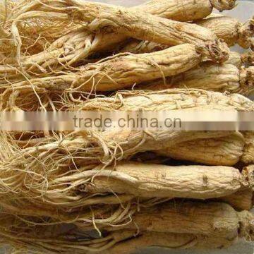 White Ginseng With Tail