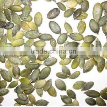 organic pumpkin shine skin kernels grade A factory for buyers