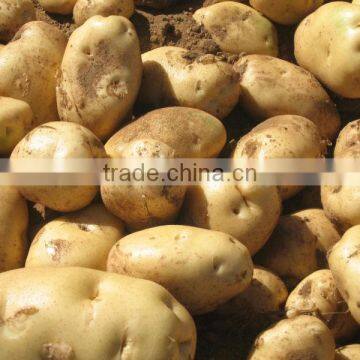 DAYU Potato Drip Tape CE&SGS Certificate photo-6