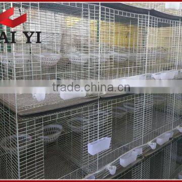 Racing Pigeon Breeding Cage for sale(manufacturer)