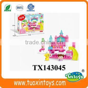 Big Plastic Building Block Garden (60pcs) Intelligent Toys photo-5