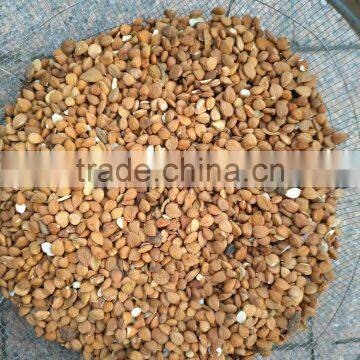 Intelligent Almond Color Sorting Machine photo-4