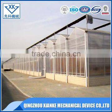 China Supplier Agricultural Multi Span Polycarbonate Greenhouse photo-4