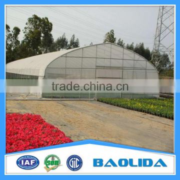 plastic & poly tunnel greenhouse/factory price