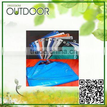 Blue Poly Tarp Hdpe Fabric photo-2