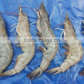 Vannamei Shrimp photo-6