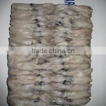 Frozen Baby Loligo Squid photo-3