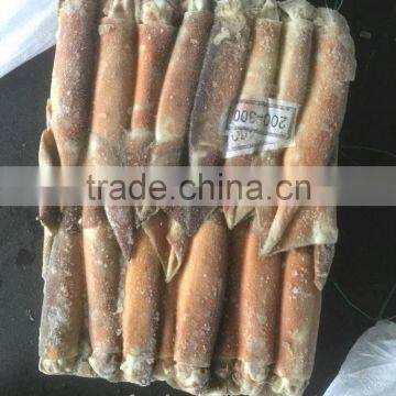 200-300G Frozen Argentina Squid For Thailand photo-2