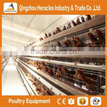 Trade Assurance Types of Hot Dip Galvanized Egg Layer Poultry Cages photo-2