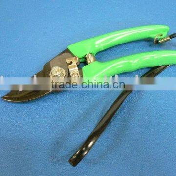 Pruning Shears