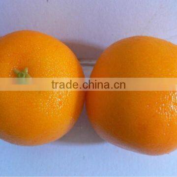 2 Artificial Oranges Fake Faux Fruits Ideal Learning Gifts for Kids