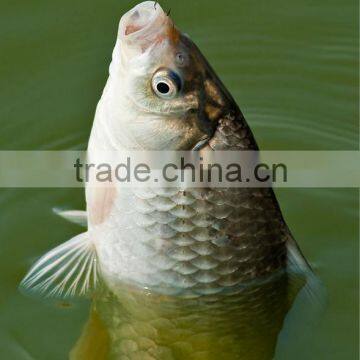 Water Soluble Mesh Pva Fishing Net