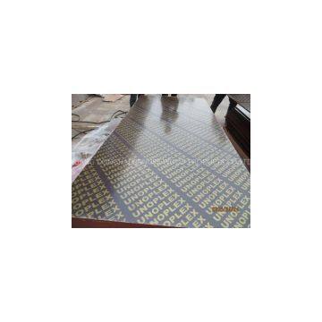 UNOPLEX FILM FACED PLYWOOD. MR GLUE, POPLAR CORE, BROWN PRINTED FILM photo-2