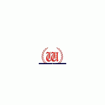 Shanghai Well-lion Electronic Technology Co., Ltd.