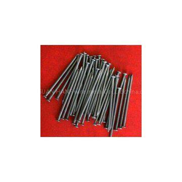 China ISO factory Common Nails/ wire nails/ roofing nails