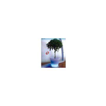 LED Flower pot(BNL-303135)