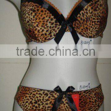 leopard Bra and panty set